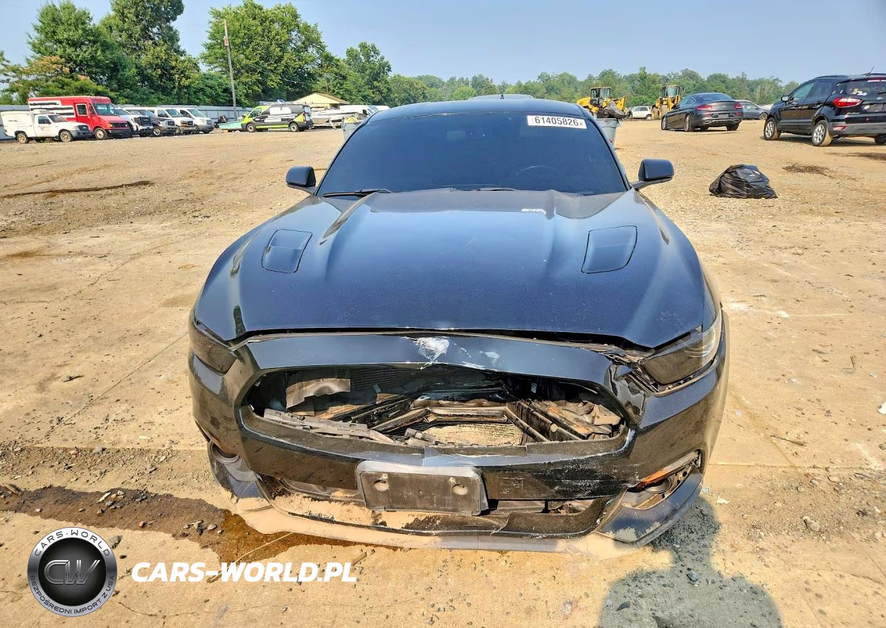 2015 Ford Mustang Gt VIN:1FA6P8CF2F5331734 - 5