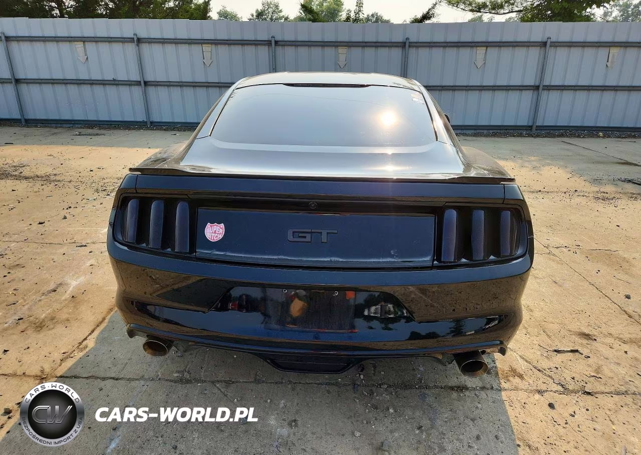 2015 Ford Mustang Gt VIN:1FA6P8CF2F5331734 - 6
