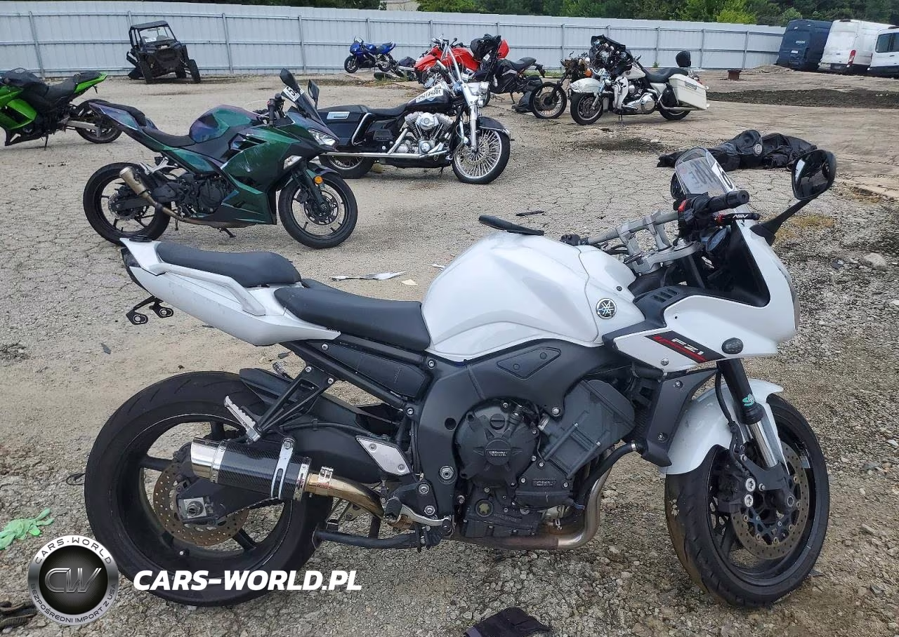 2014 Yamaha Fz1 S