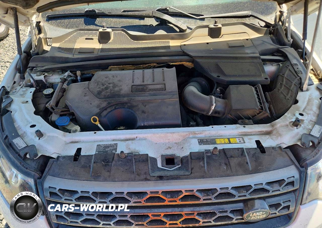 2019 Land Rover Discovery Sport Se VIN:SALCP2FX5KH787307 - 12