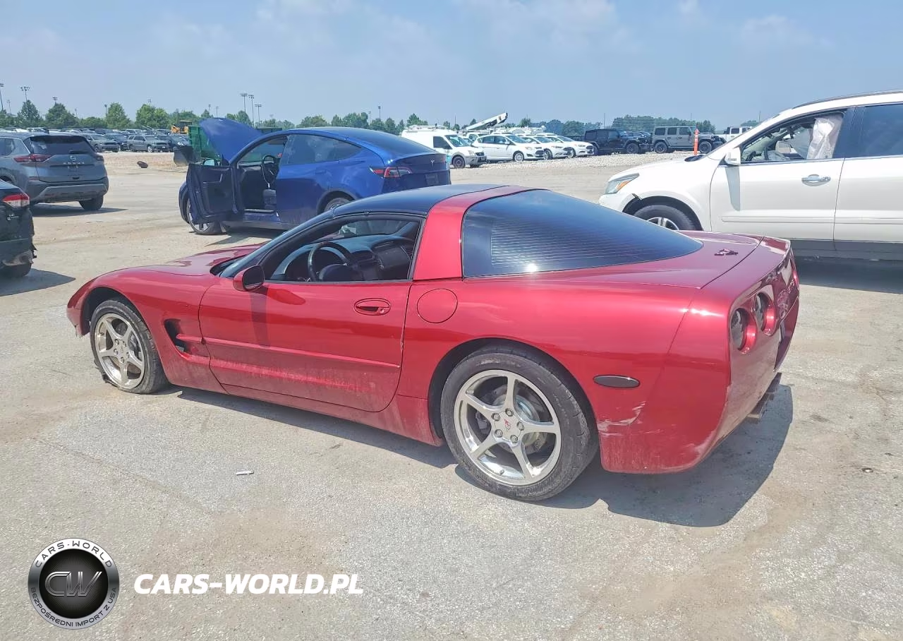 2002 Chevrolet Corvette VIN:1G1YY22G525109862 - 2