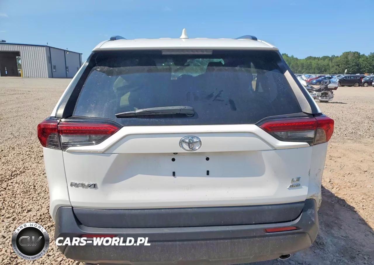 2019 Toyota Rav4 Le VIN:2T3F1RFV0KW062530 - 6