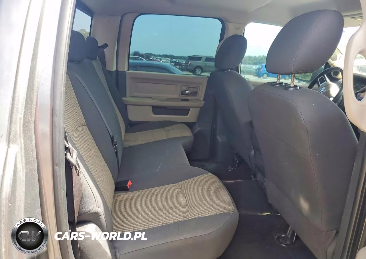 2010 Dodge Ram 1500 VIN:1D7RB1CT9AS100302 - 10