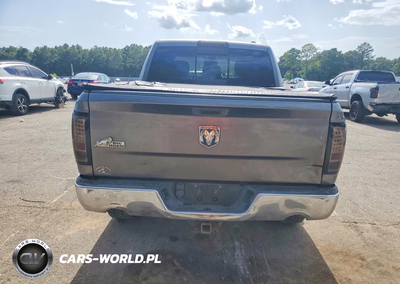 2010 Dodge Ram 1500 VIN:1D7RB1CT9AS100302 - 6