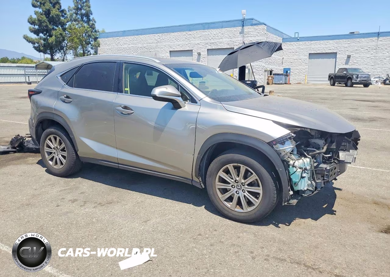 2019 Lexus Nx 300 Base VIN:JTJYARBZ0K2128842 - 4
