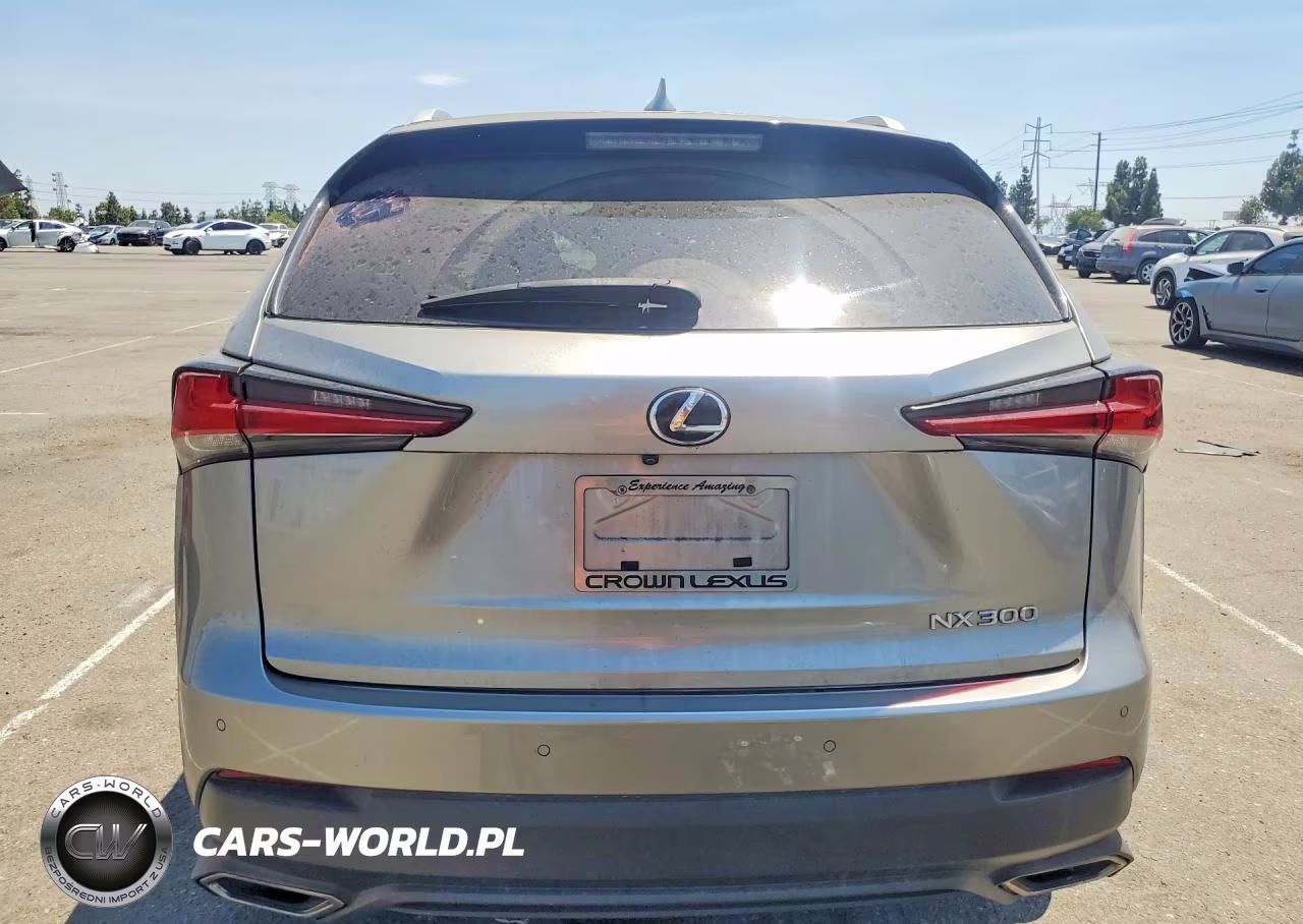 2019 Lexus Nx 300 Base VIN:JTJYARBZ0K2128842 - 6