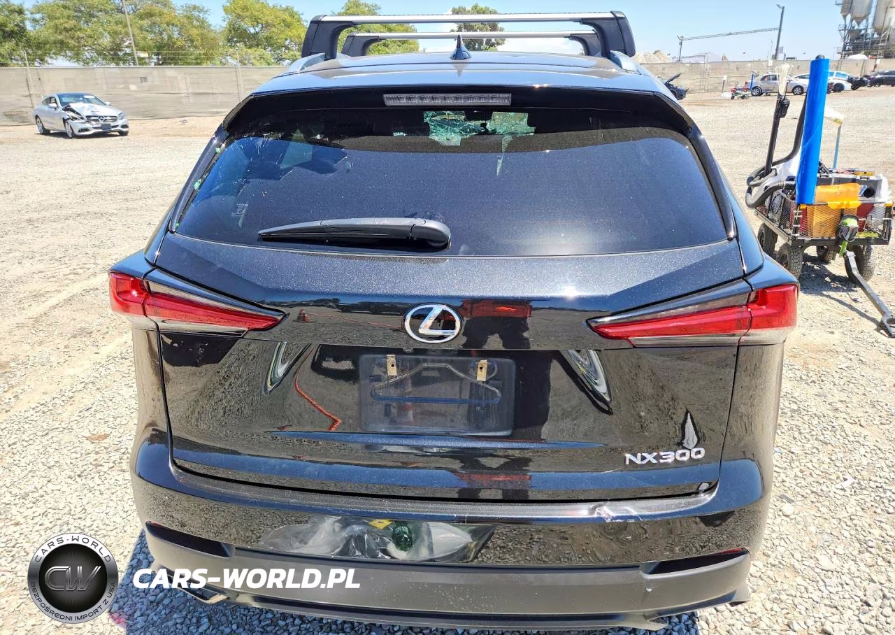 2018 Lexus Nx 300 Base VIN:JTJYARBZ5J2111176 - 6