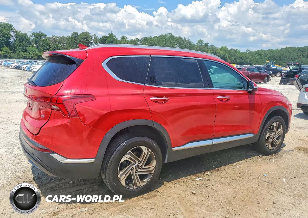 2023 Hyundai Santa Fe Sel Premium VIN:5NMS3DAJ3PH518208 - 3