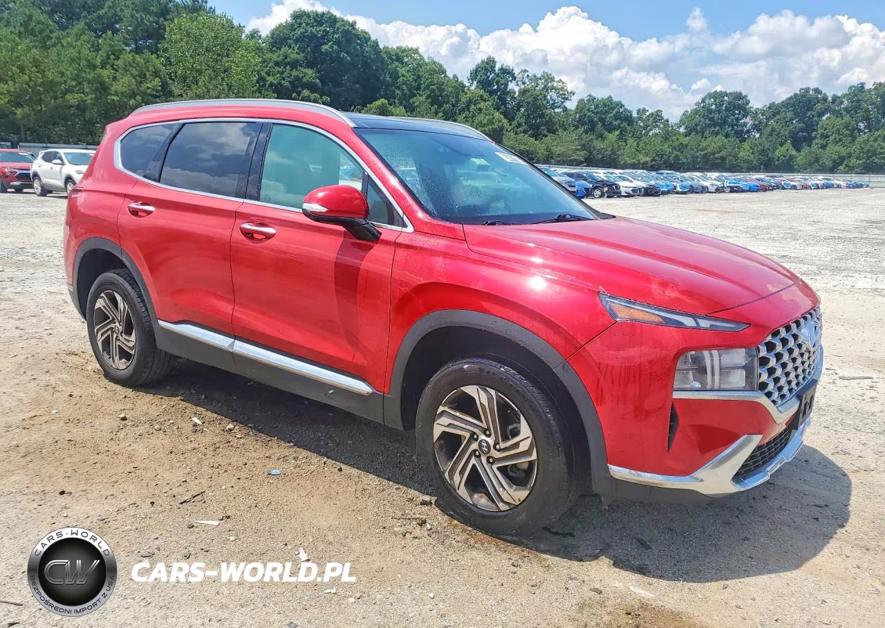 2023 Hyundai Santa Fe Sel Premium VIN:5NMS3DAJ3PH518208 - 4