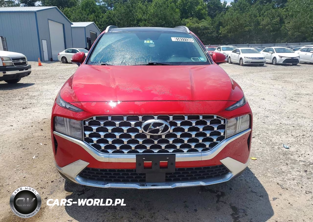 2023 Hyundai Santa Fe Sel Premium VIN:5NMS3DAJ3PH518208 - 5