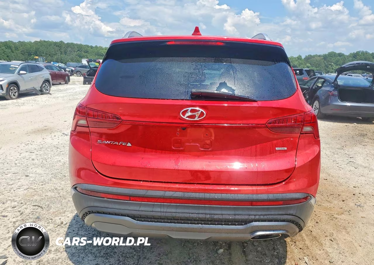 2023 Hyundai Santa Fe Sel Premium VIN:5NMS3DAJ3PH518208 - 6