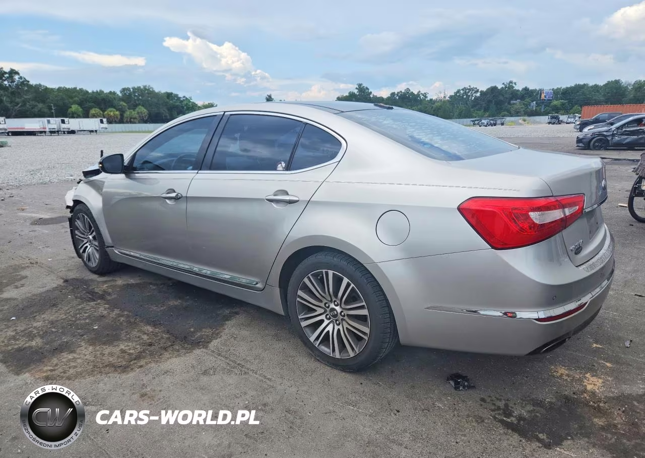 2014 Kia Cadenza Premium VIN:KNALN4D7XE5139864 - 2