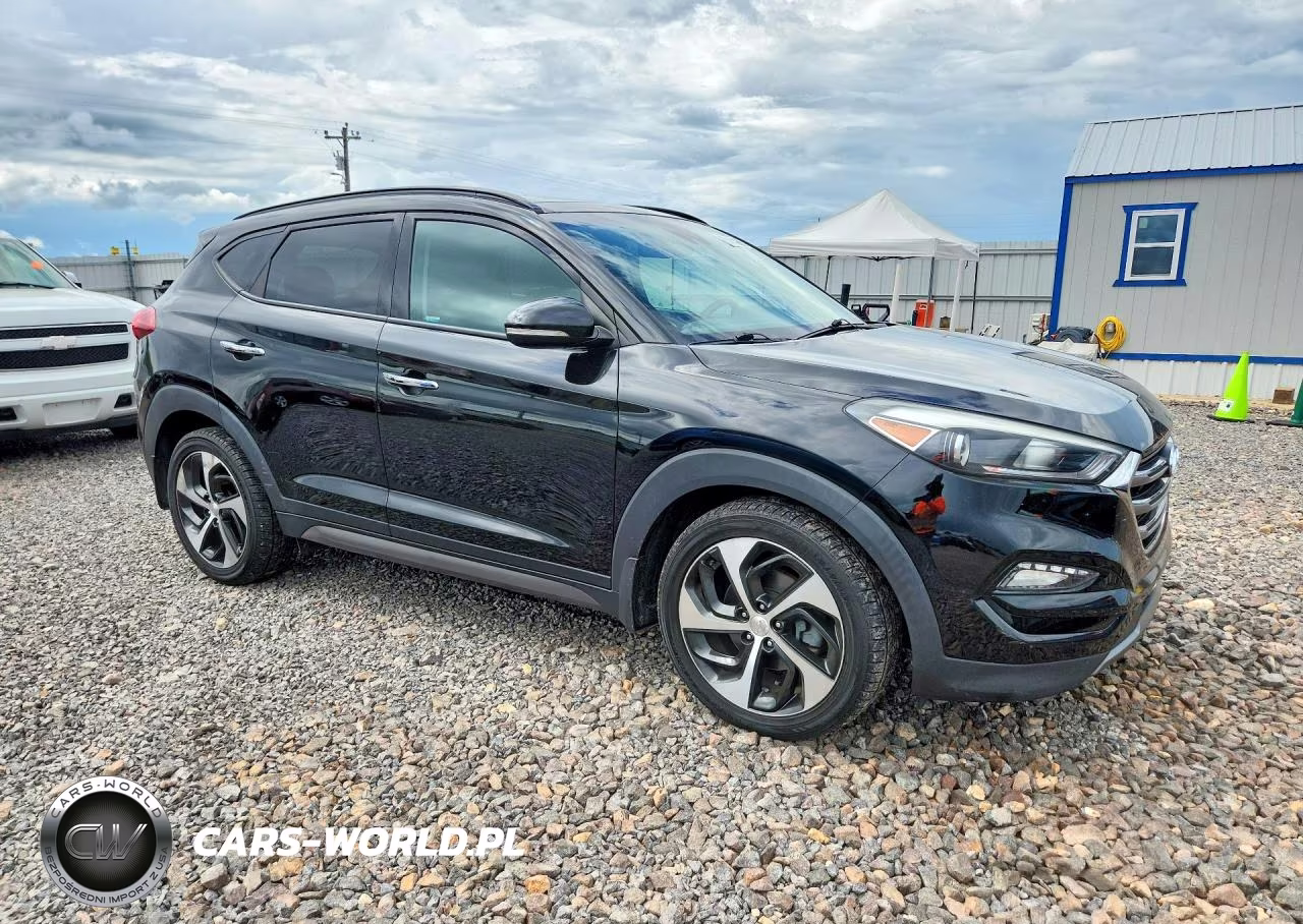 2016 Hyundai Tucson Limited VIN:KM8J3CA25GU066197 - 4