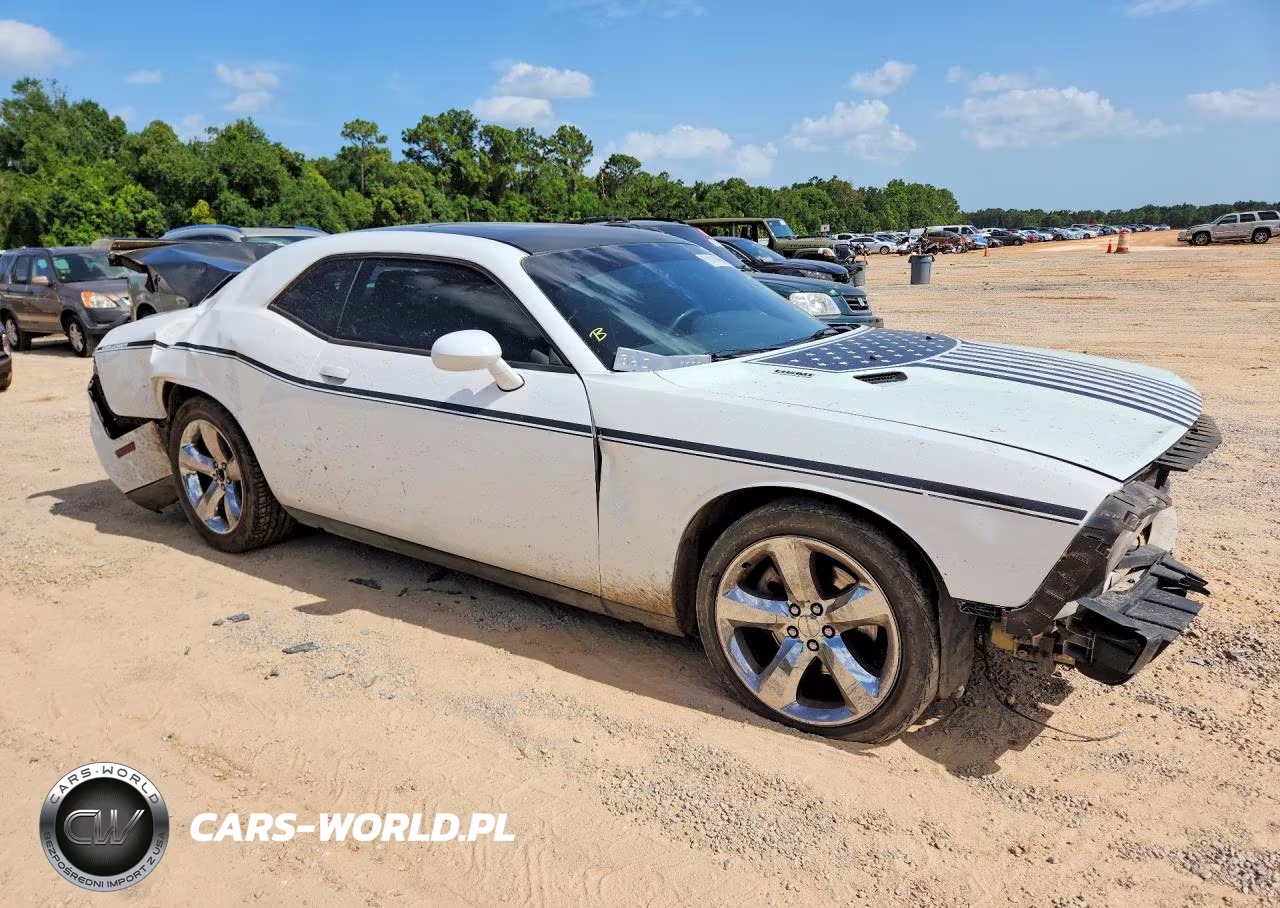 2014 Dodge Challenger R-T VIN:2C3CDYBT4EH158694 - 4