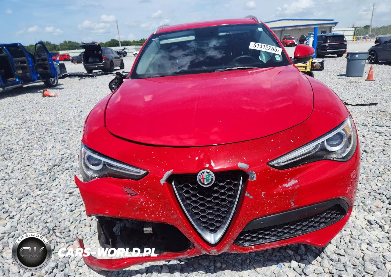 2019 Alfa Romeo Stelvio VIN:ZASPAJAN1K7C71694 - 5