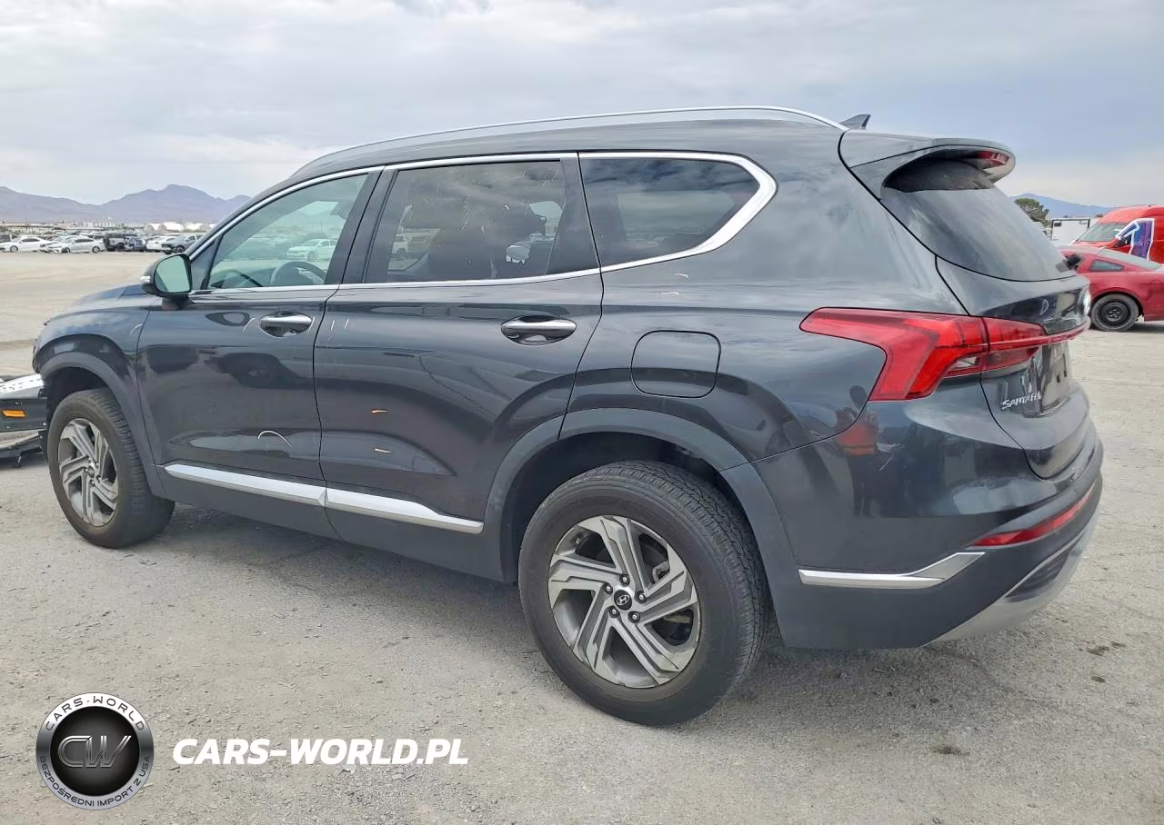 2021 Hyundai Santa Fe Sel VIN:5NMS3DAJ4MH320135 - 2