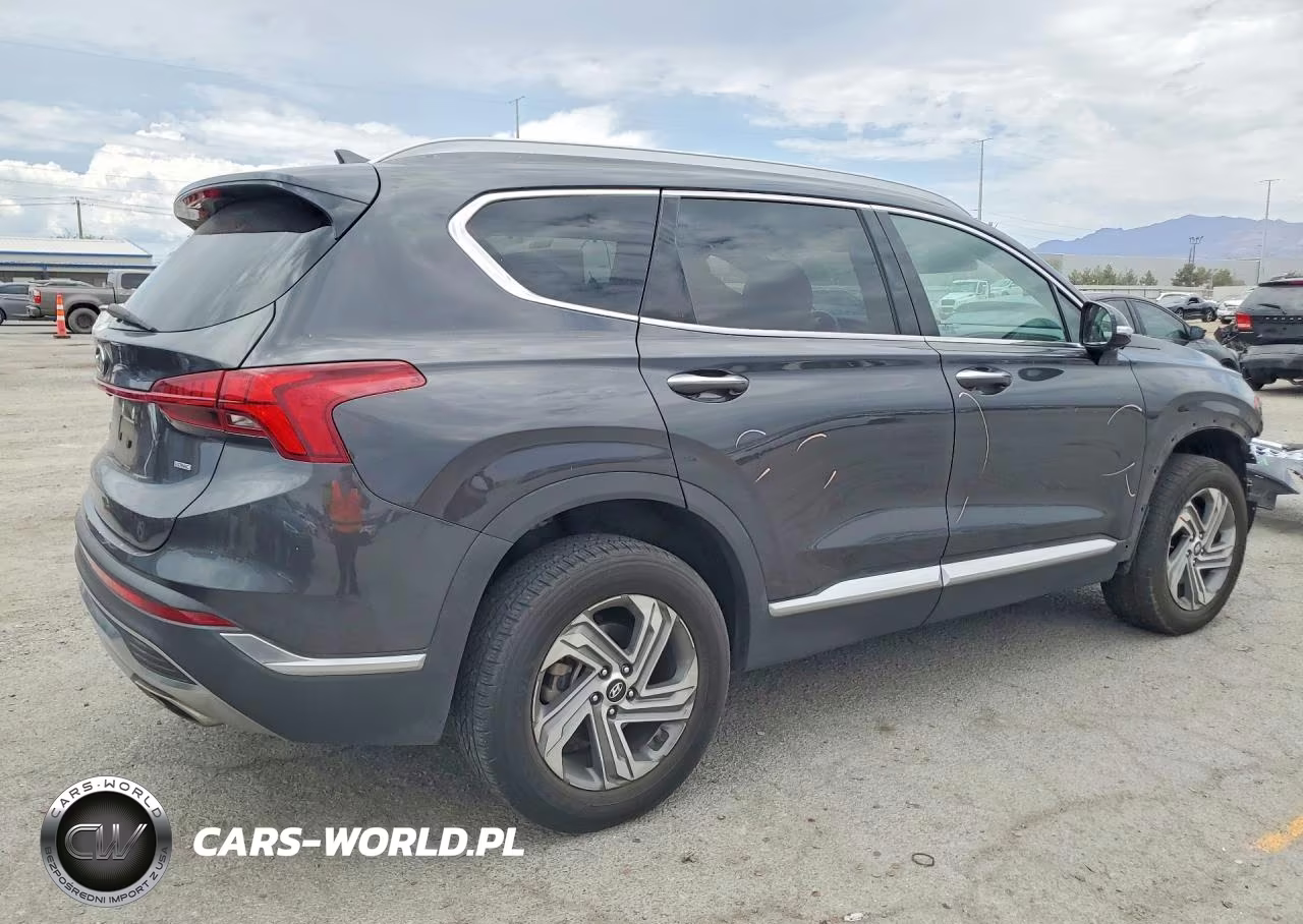 2021 Hyundai Santa Fe Sel VIN:5NMS3DAJ4MH320135 - 3