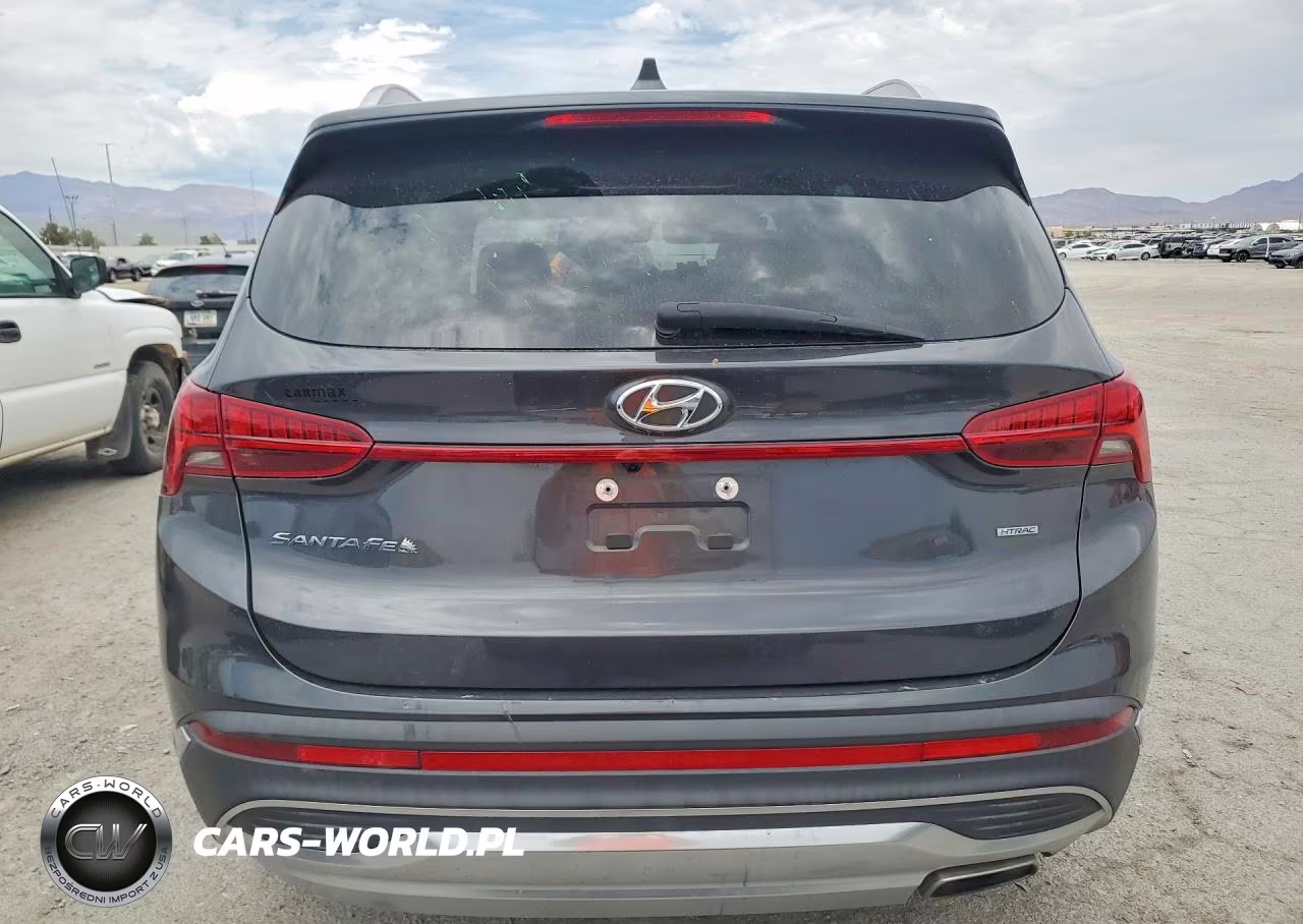 2021 Hyundai Santa Fe Sel VIN:5NMS3DAJ4MH320135 - 6