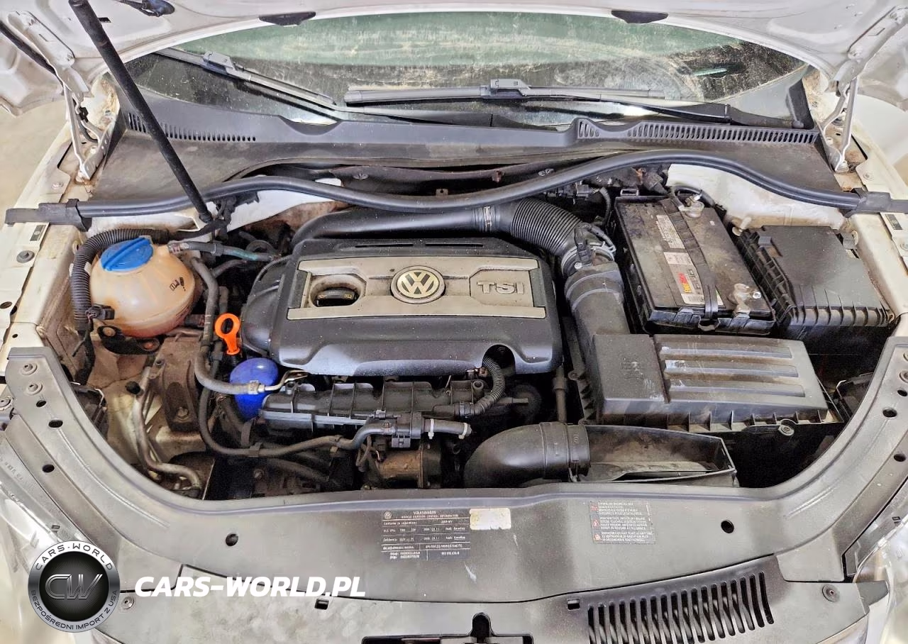 2009 Volkswagen Eos Turbo VIN:WVWBA71F79V018707 - 11