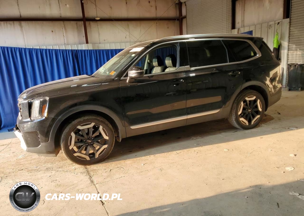 2025 Kia Telluride Ex VIN:5XYP3DGC7SG650096 - 1