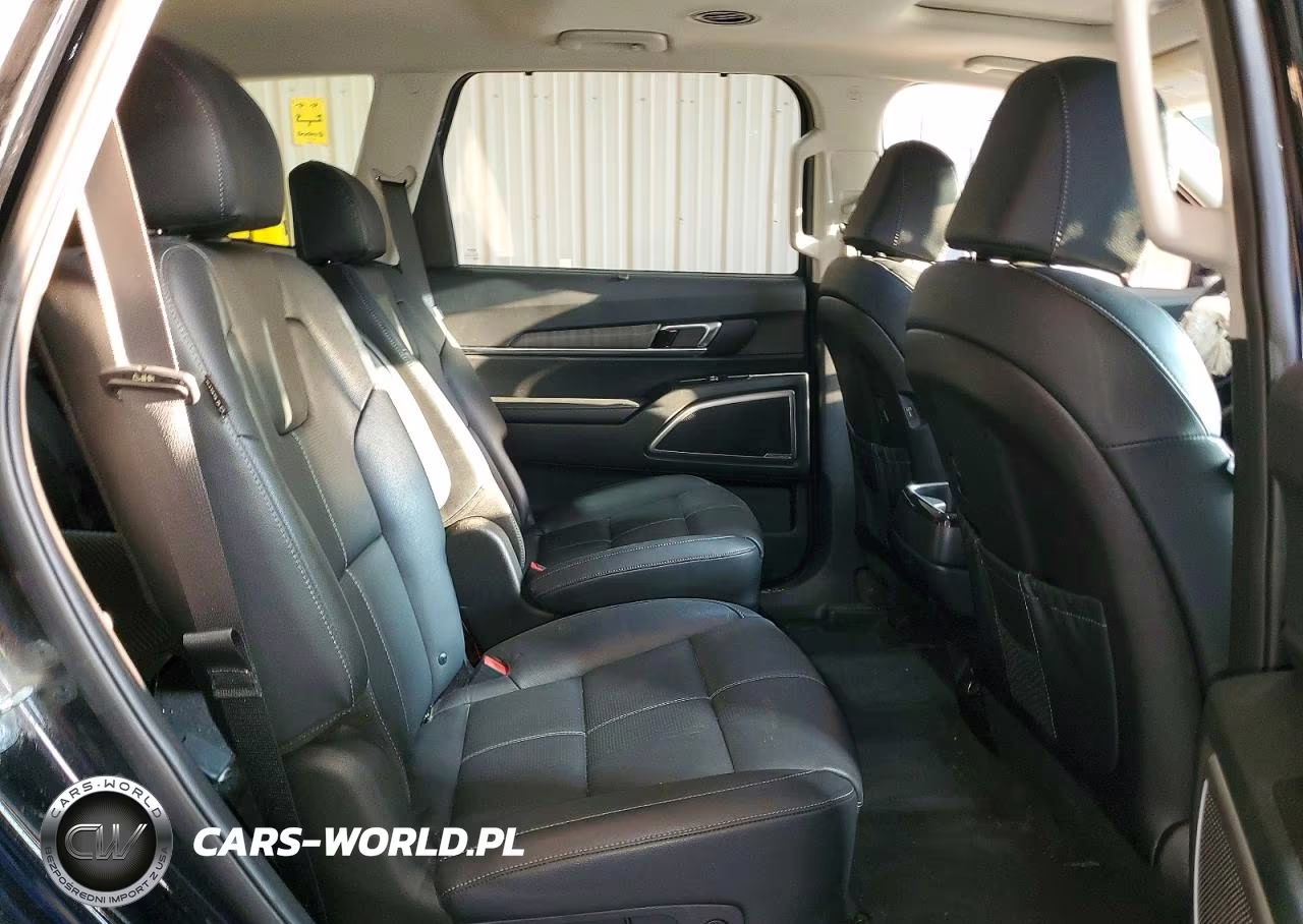 2025 Kia Telluride Ex VIN:5XYP3DGC7SG650096 - 11