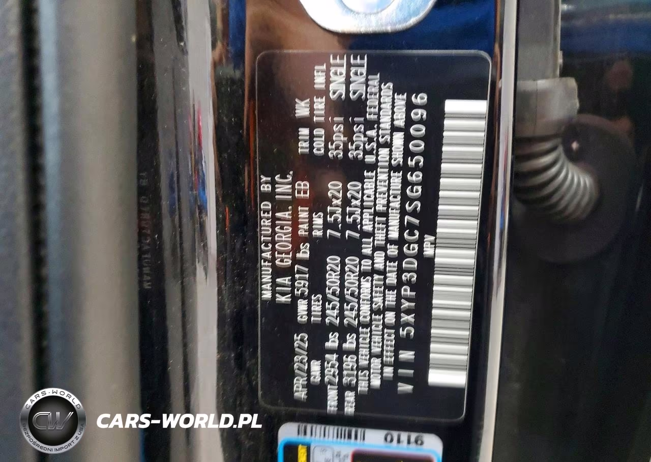 2025 Kia Telluride Ex VIN:5XYP3DGC7SG650096 - 13