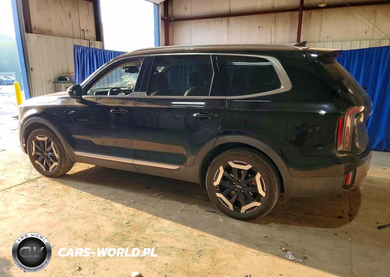 2025 Kia Telluride Ex VIN:5XYP3DGC7SG650096 - 2