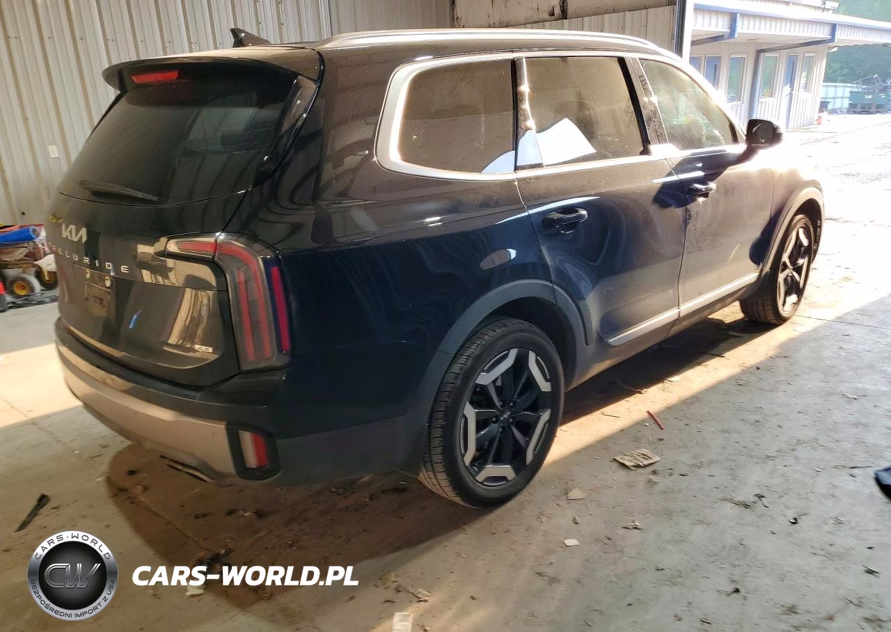 2025 Kia Telluride Ex VIN:5XYP3DGC7SG650096 - 3