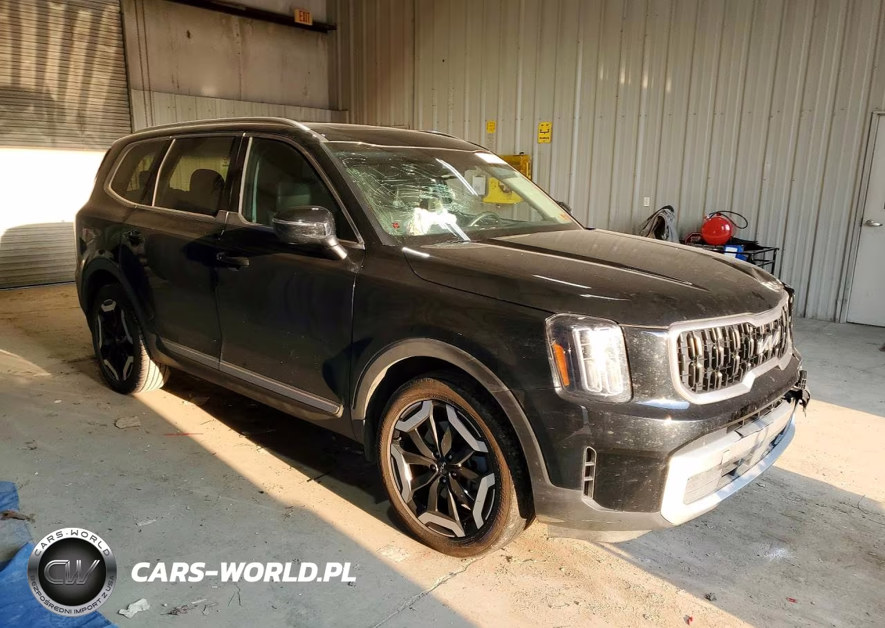 2025 Kia Telluride Ex VIN:5XYP3DGC7SG650096 - 4