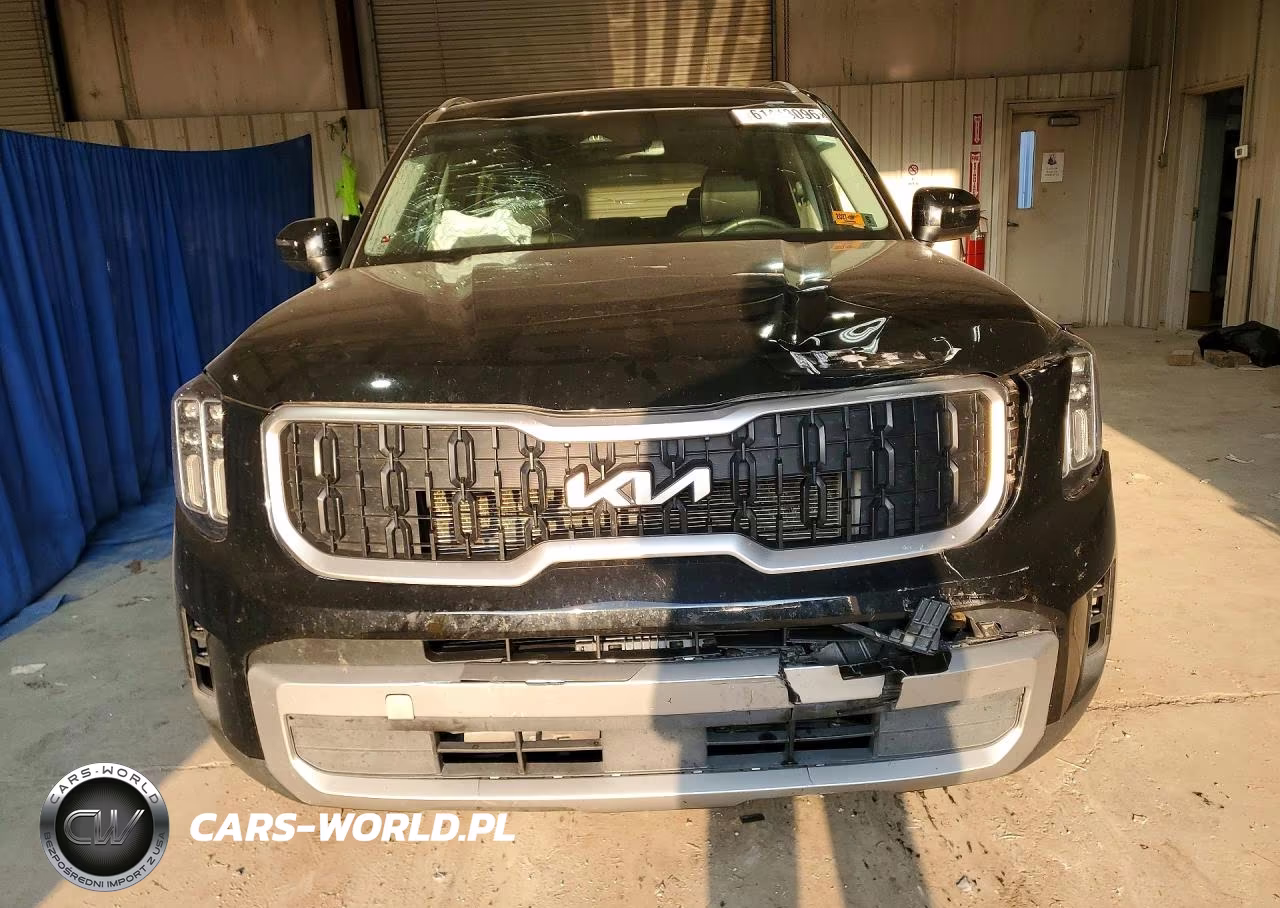 2025 Kia Telluride Ex VIN:5XYP3DGC7SG650096 - 5