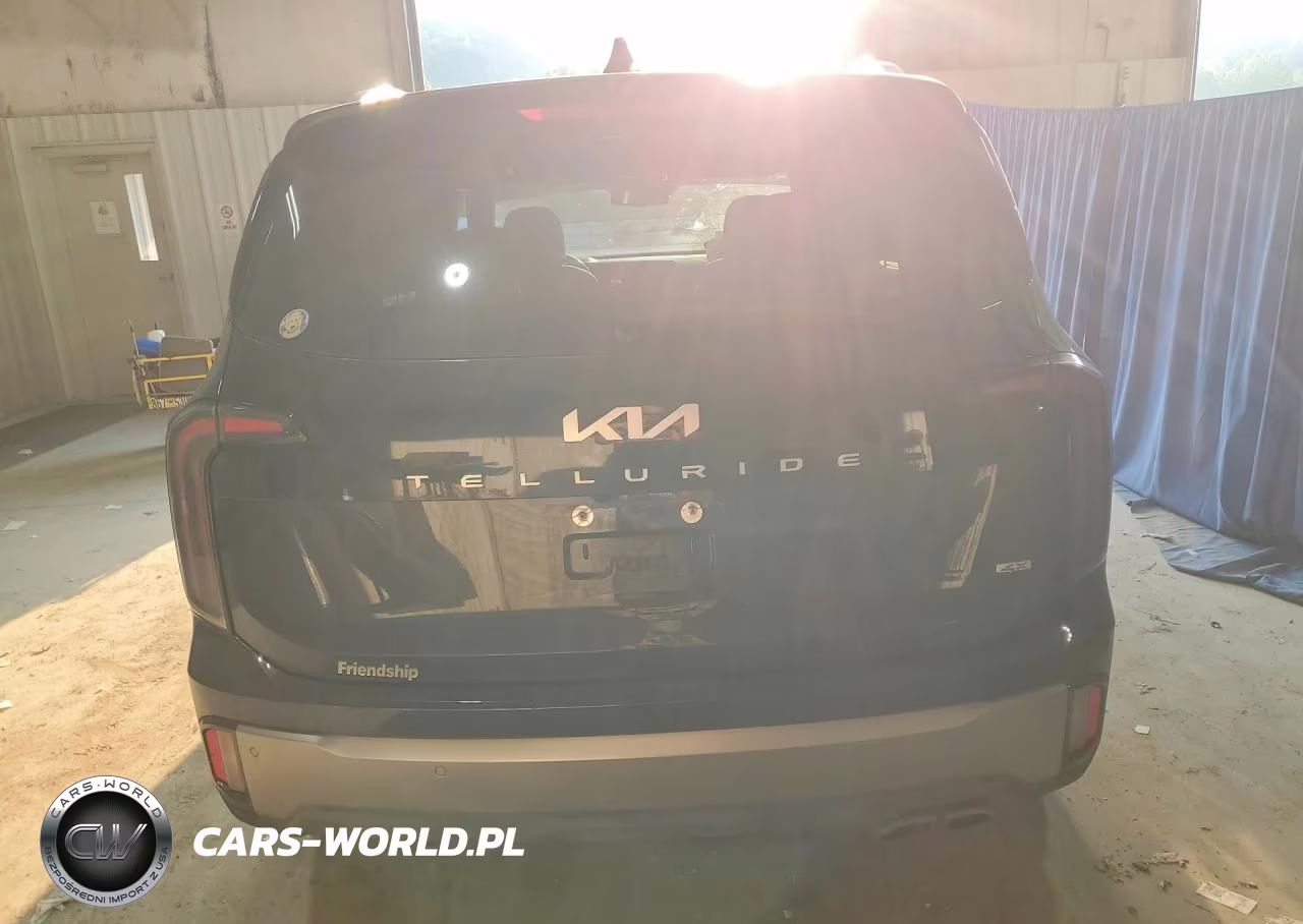 2025 Kia Telluride Ex VIN:5XYP3DGC7SG650096 - 6