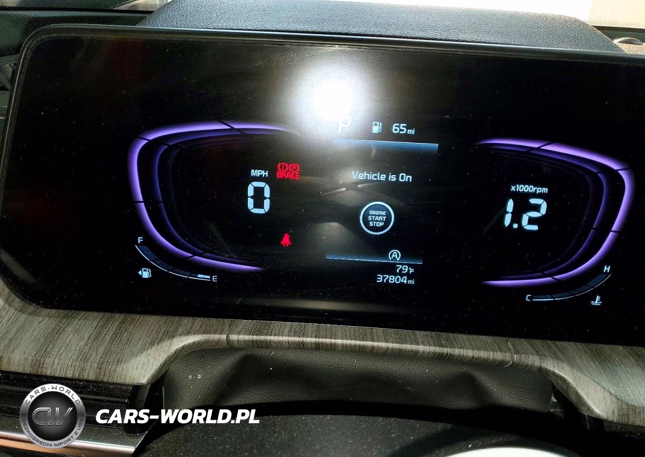2025 Kia Telluride Ex VIN:5XYP3DGC7SG650096 - 9