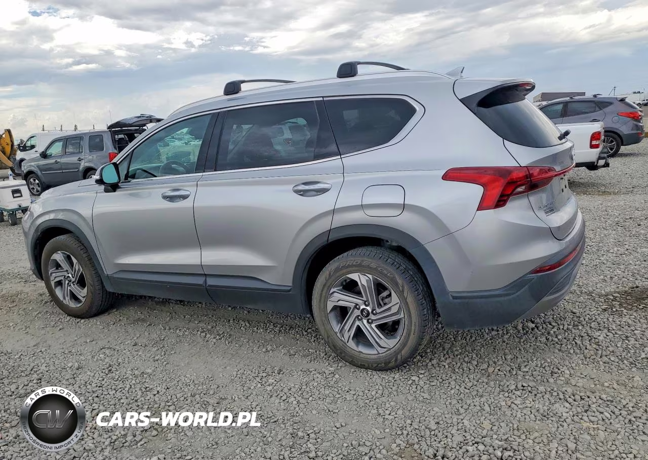 2023 Hyundai Santa Fe Sel VIN:5NMS24AJ7PH498581 - 2
