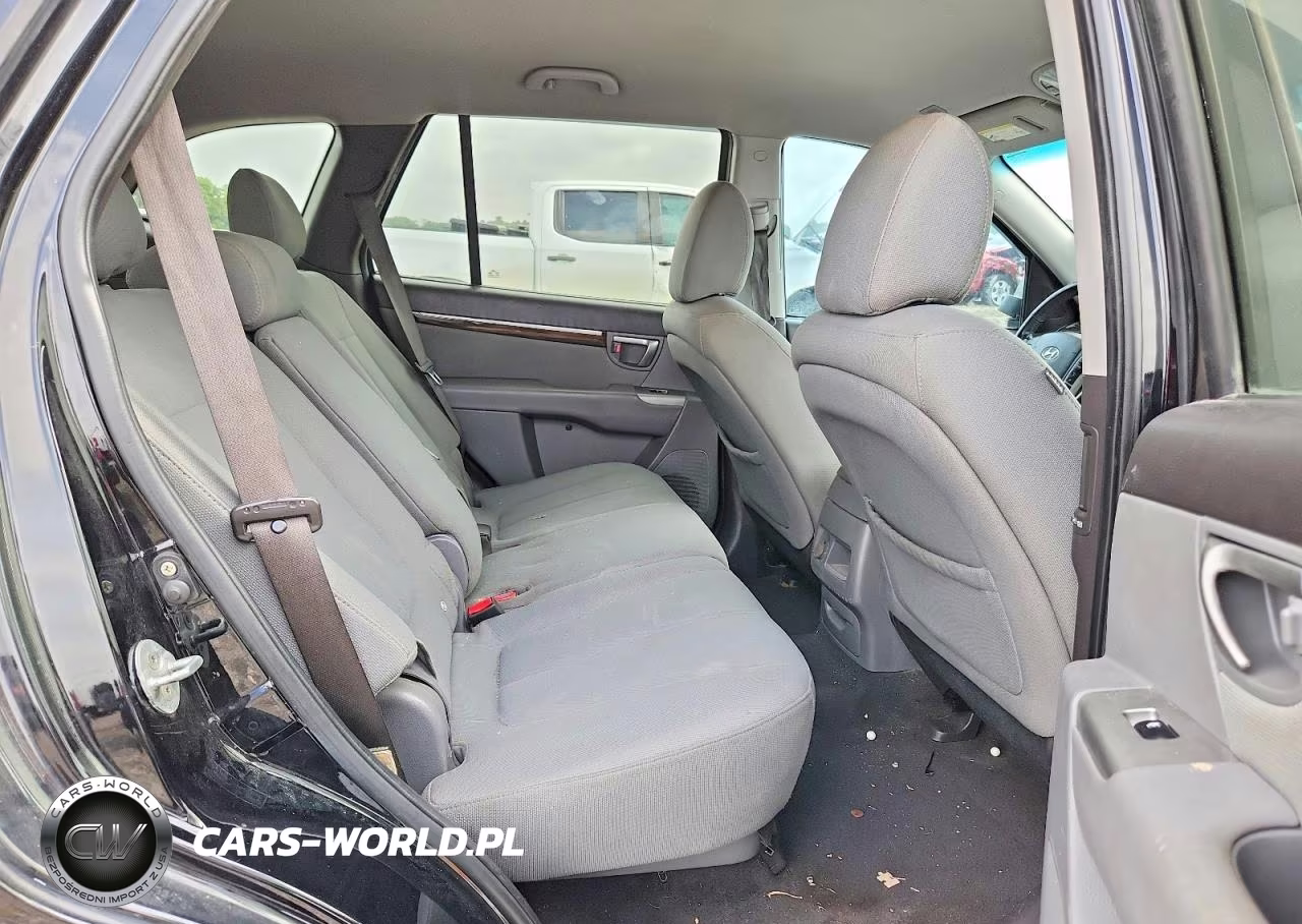 2010 Hyundai Santa Fe Gls VIN:5NMSG3AB0AH380478 - 11