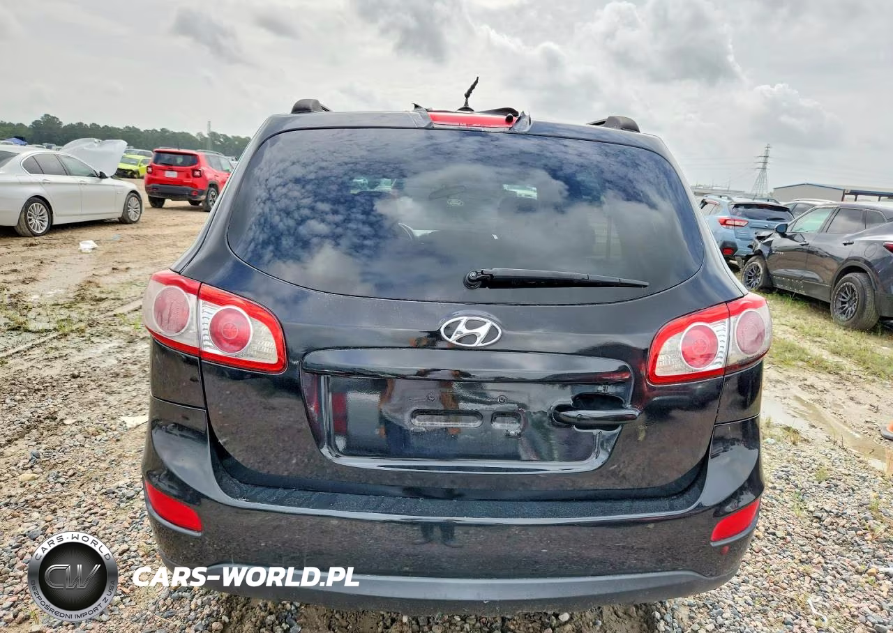 2010 Hyundai Santa Fe Gls VIN:5NMSG3AB0AH380478 - 6