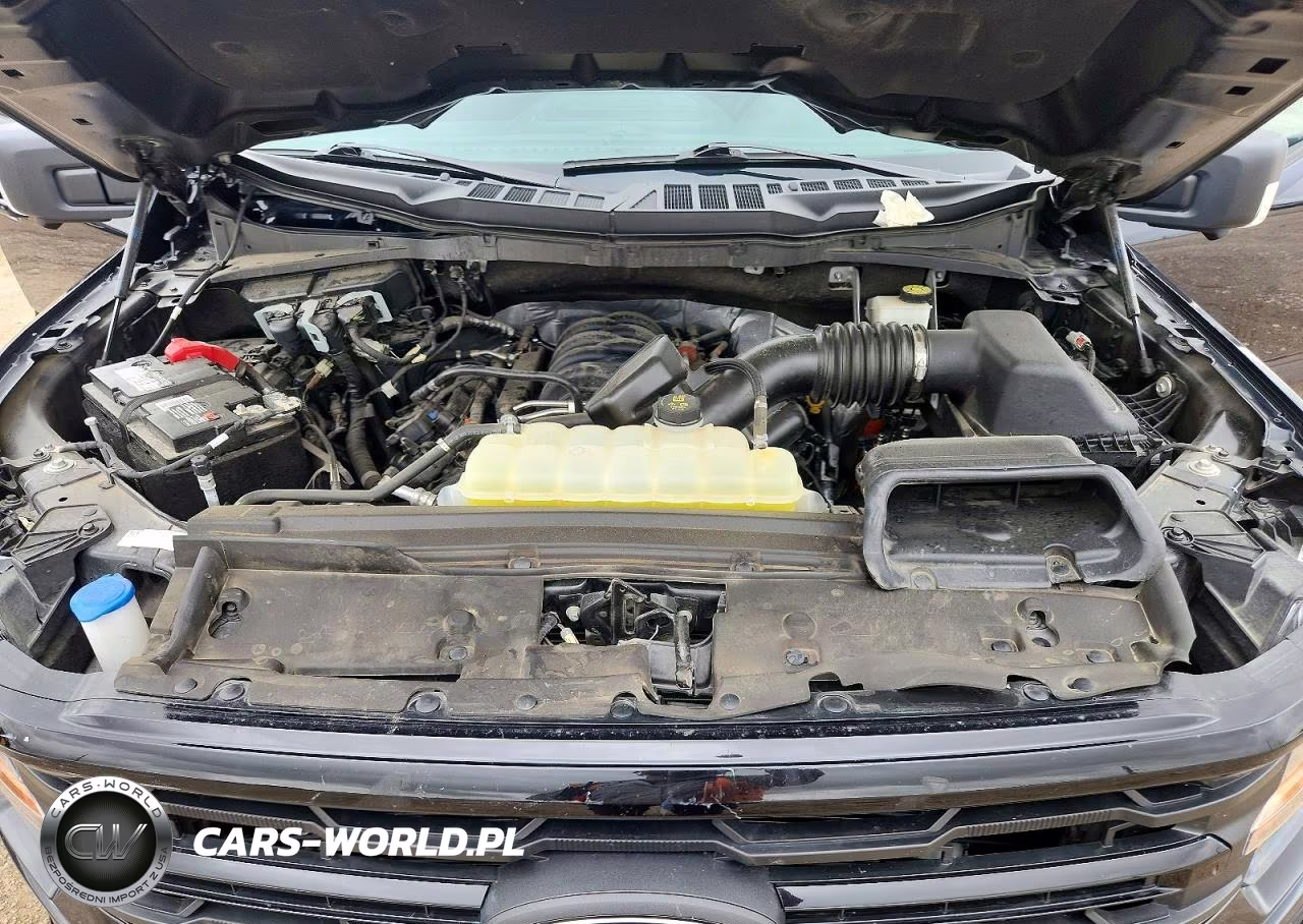 2024 Ford F150 Xlt VIN:1FTEW3K53RKD97848 - 11