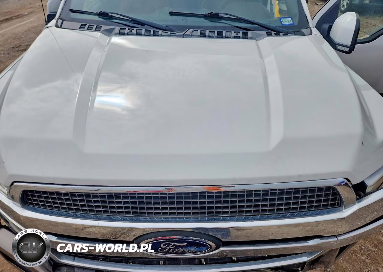 2019 Ford F150 Supercrew VIN:1FTEW1C47KFB48560 - 11