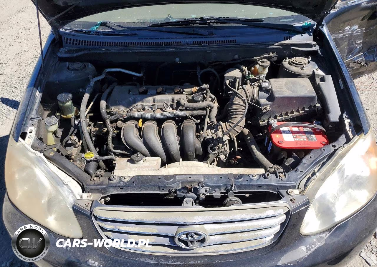 2003 Toyota Corolla Le VIN:JTDBR32E830024088 - 11