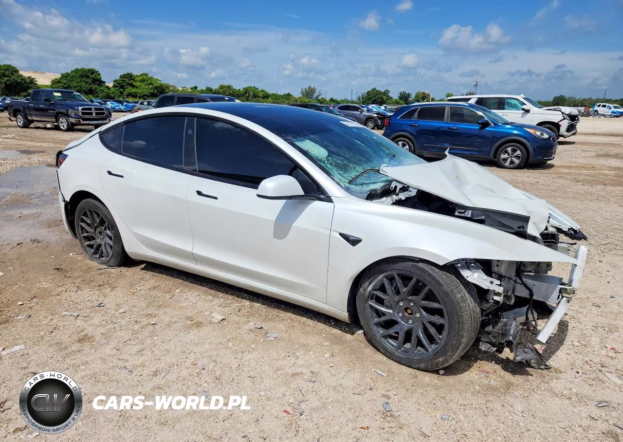 2025 Tesla Model 3 VIN:5YJ3E1EB8SF003697 - 4
