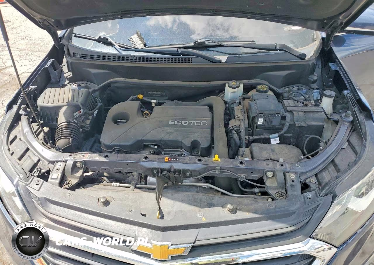 2019 Chevrolet Equinox Lt VIN:3GNAXKEV2KL289699 - 12