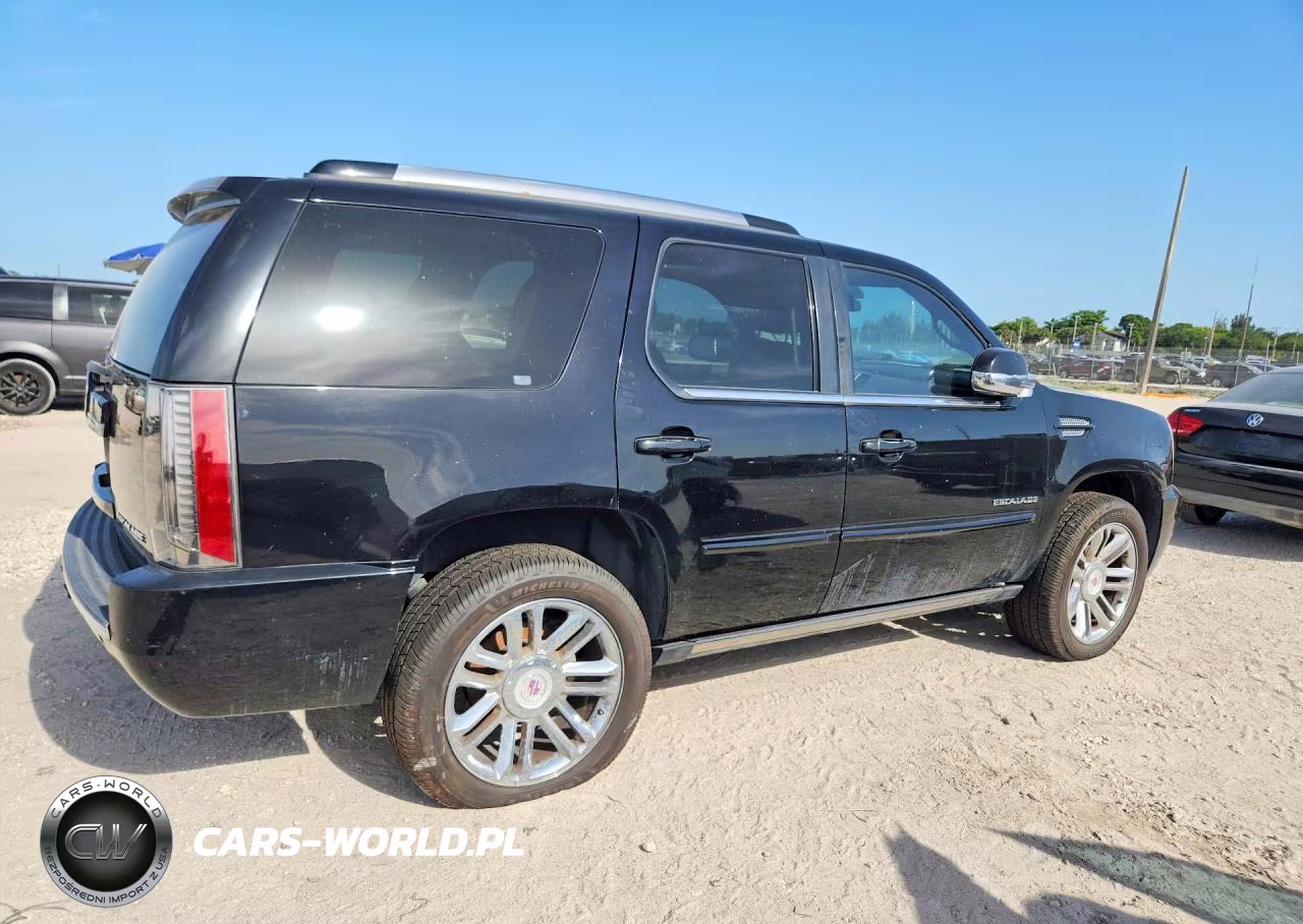 2013 Cadillac Escalade Premium VIN:1GYS3CEF8DR137844 - 3