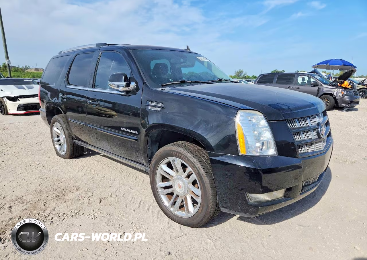 2013 Cadillac Escalade Premium VIN:1GYS3CEF8DR137844 - 4