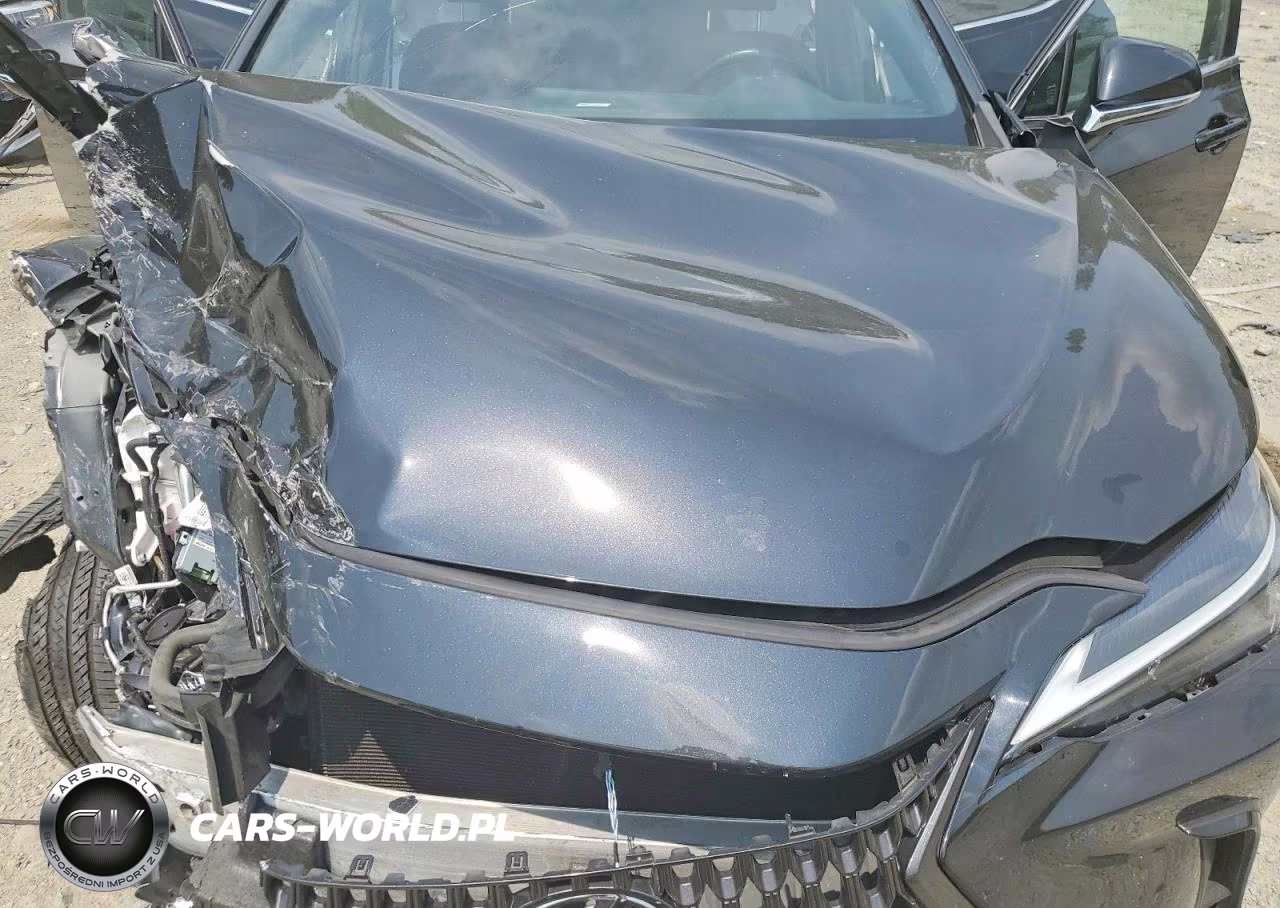 2022 Lexus Nx 350H VIN:JTJAKCEZ4N2000423 - 12