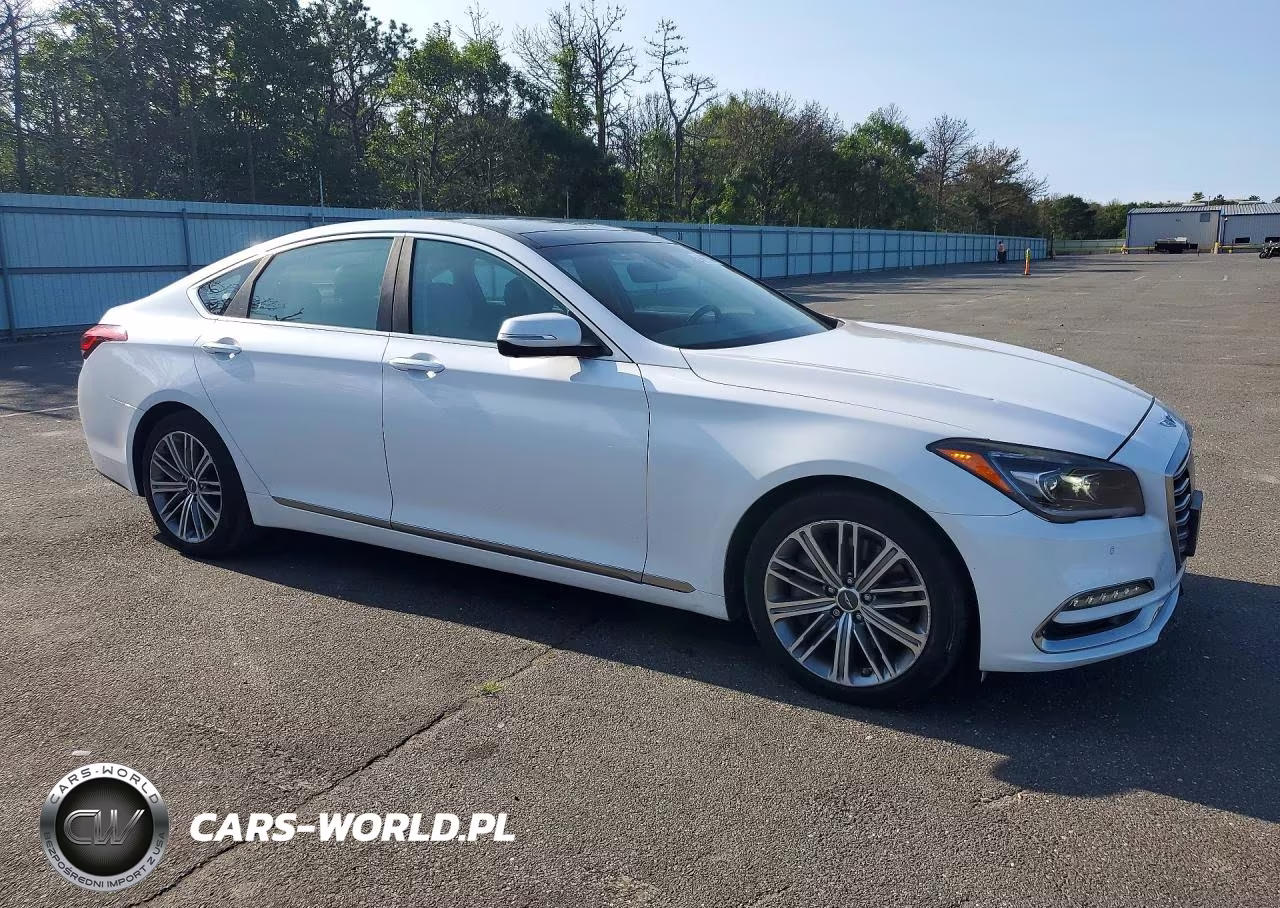 2018 Genesis G80 3.8 VIN:KMHGN4JE0JU246117 - 4