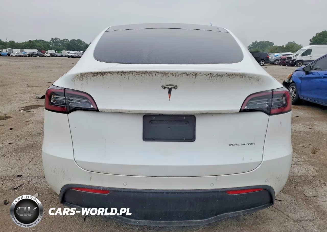 2020 Tesla Model Y Long Range Dual Motor All-Wheel Drive VIN:5YJYGDEE3LF017097 - 6