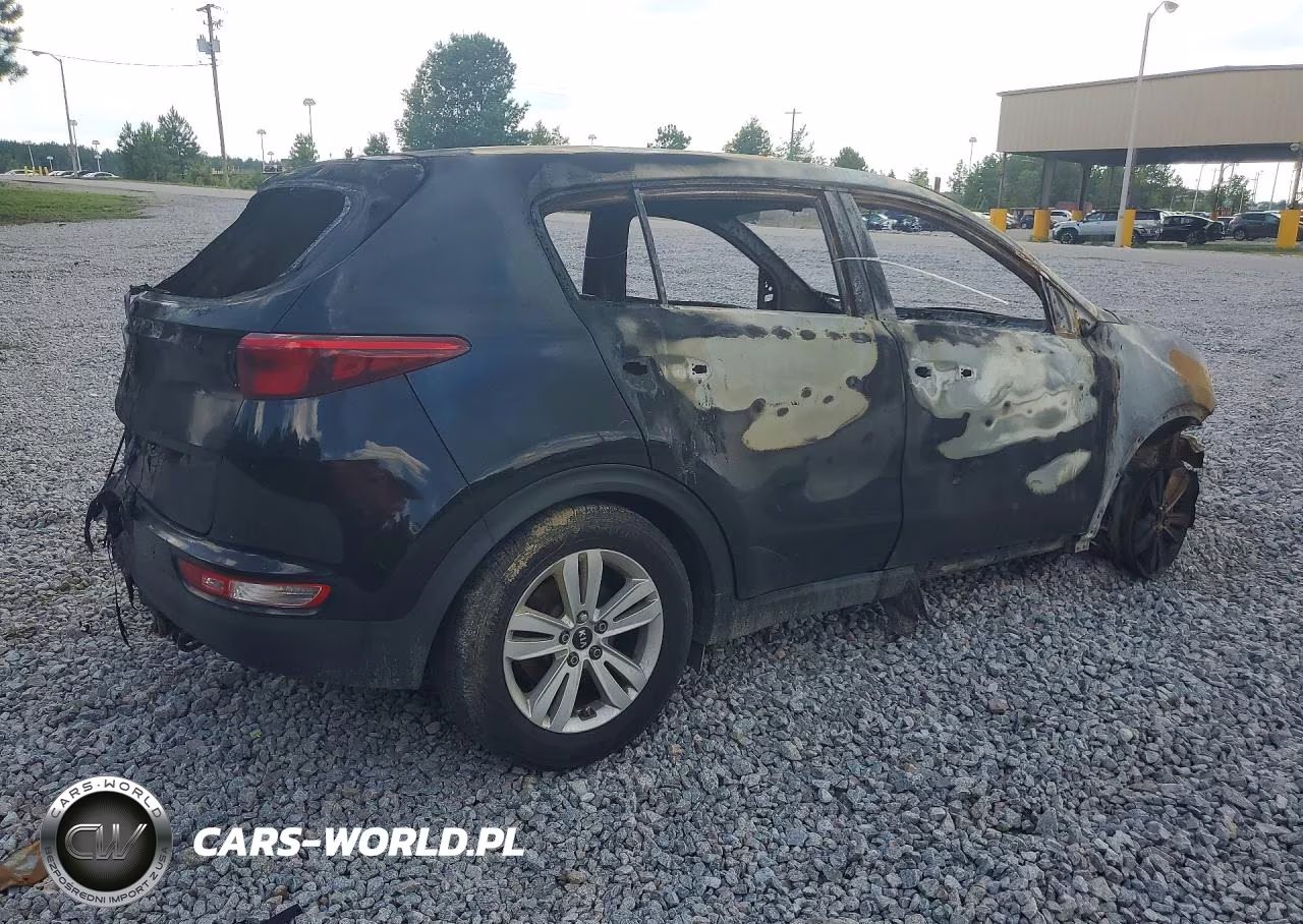 2017 Kia Sportage Lx VIN:KNDPM3AC3H7162642 - 3