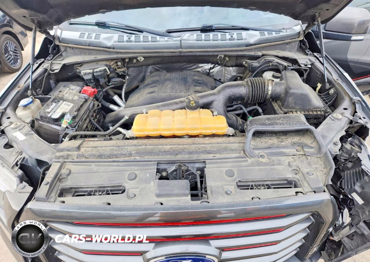 2016 Ford F150 Supercrew VIN:1FTEW1EG1GFC71995 - 11