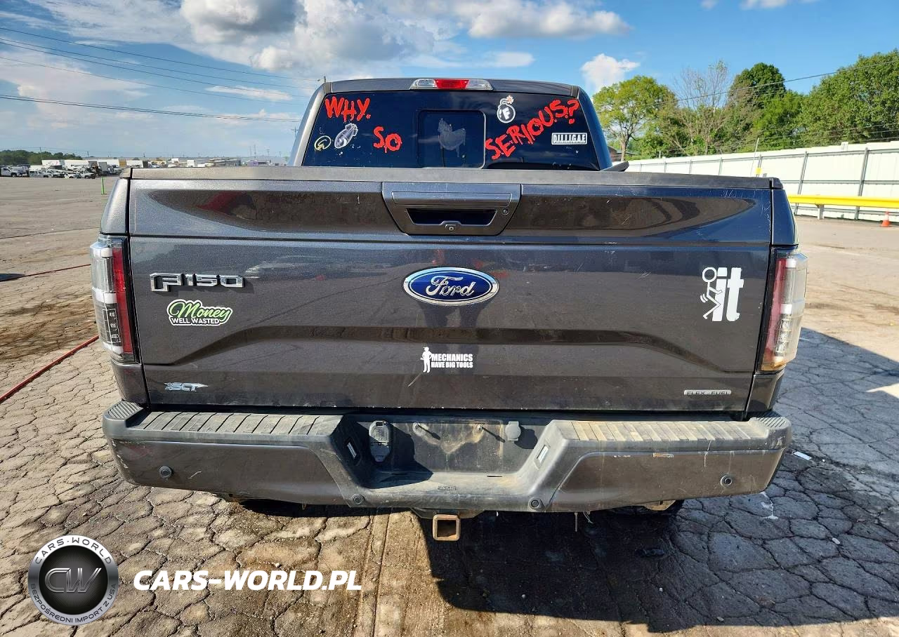 2016 Ford F150 Supercrew VIN:1FTEW1EF9GFB92131 - 6