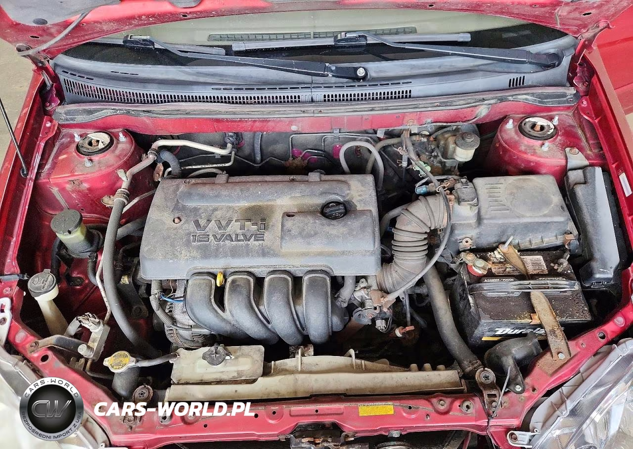 2004 Toyota Corolla Le VIN:JTDBR32E242025999 - 11
