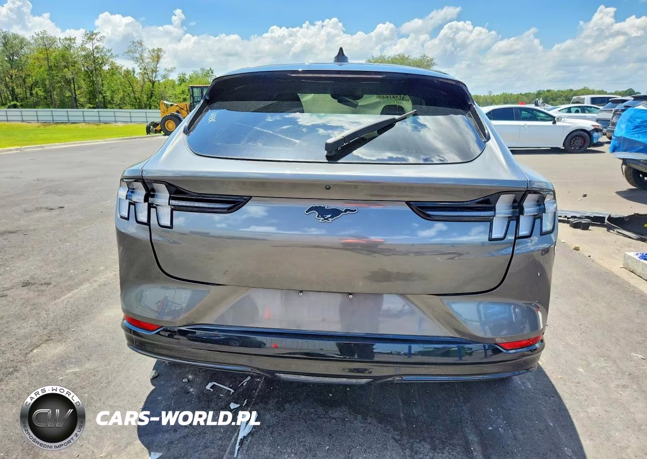 2023 Ford Mustang Mach-E Premium VIN:3FMTK3SU4PMB05491 - 6